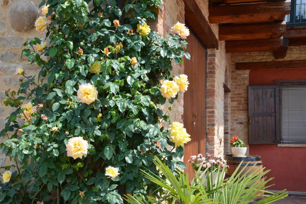 Da Fabiana Bed & Breakfast Bossolasco Exterior foto